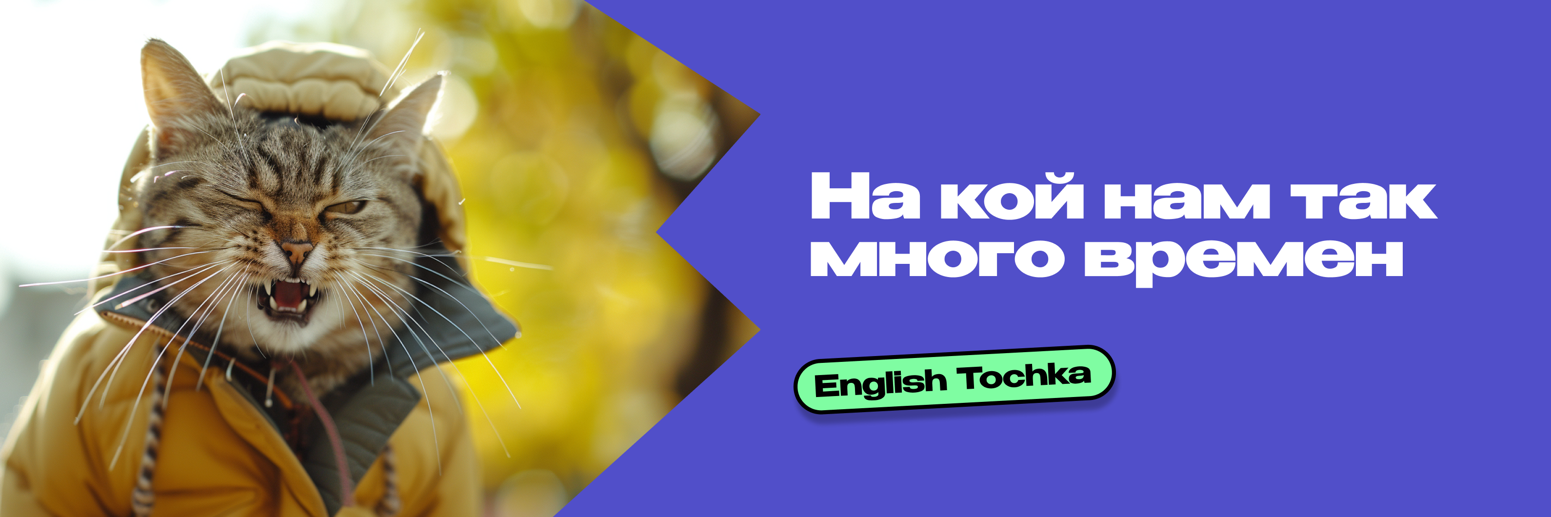 Все времена в английском языке: самое понятное руководство - Онлайн-школа английского  языка Алекса Рубанова English Tochka